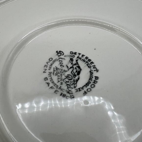 Vtg Pink Oval Serving Platter Spiderweb MCM 1950s Kitchen Blue Ridge Retro13.5" - Picture 6 of 7